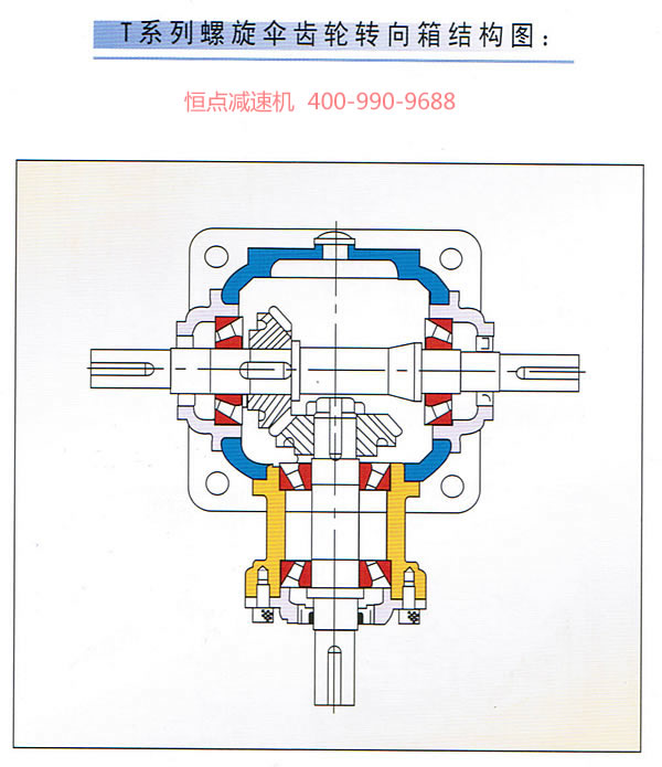 T系列螺旋傘齒輪轉向箱結構彩圖